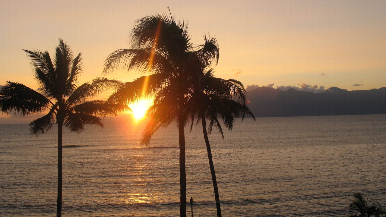 Photo of Others in Kahana