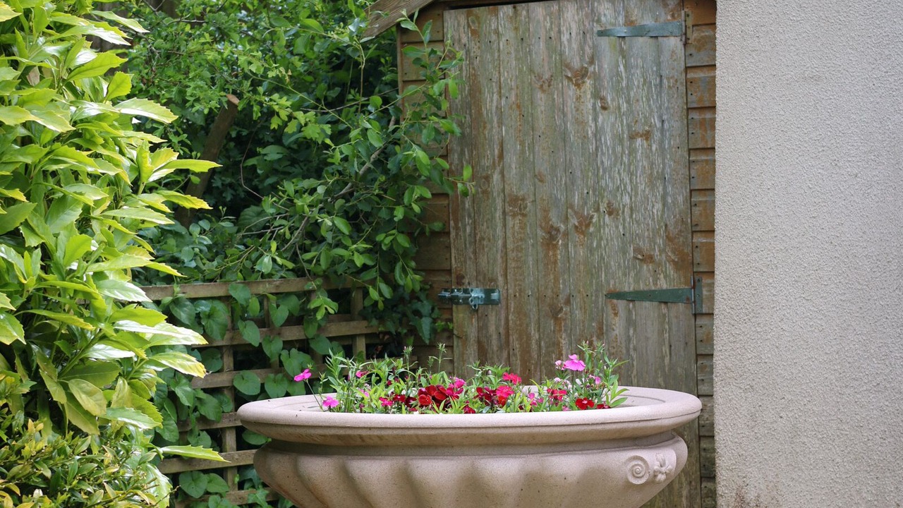 Photo of Outdoor in Otterton