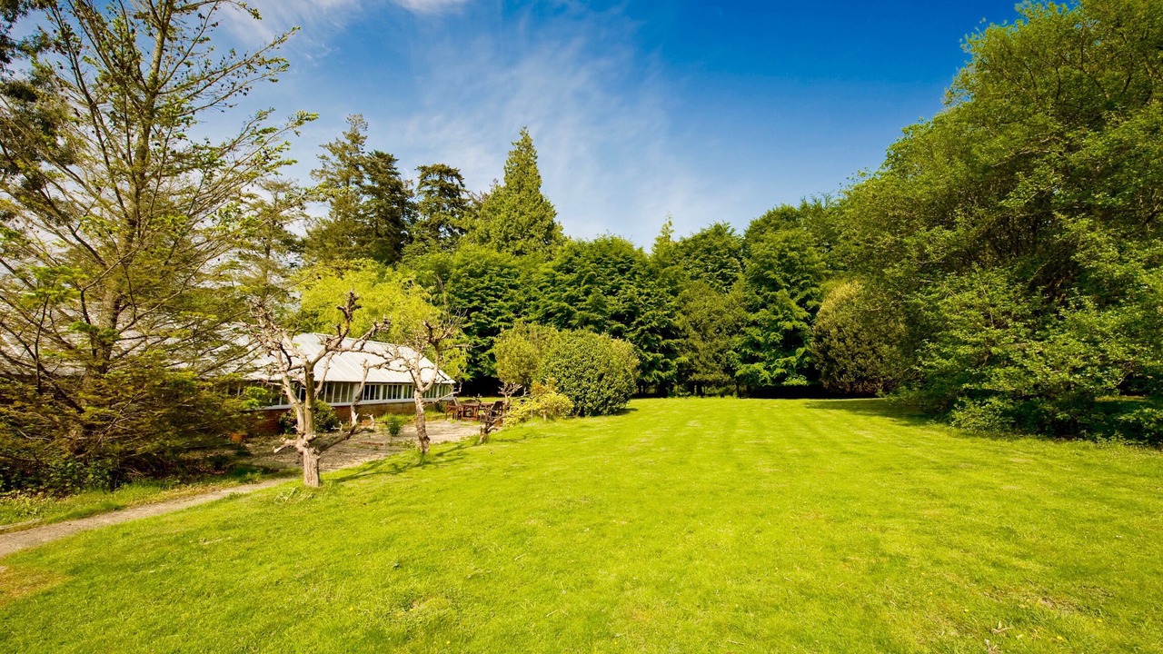Photo of Outdoor in New Forest District