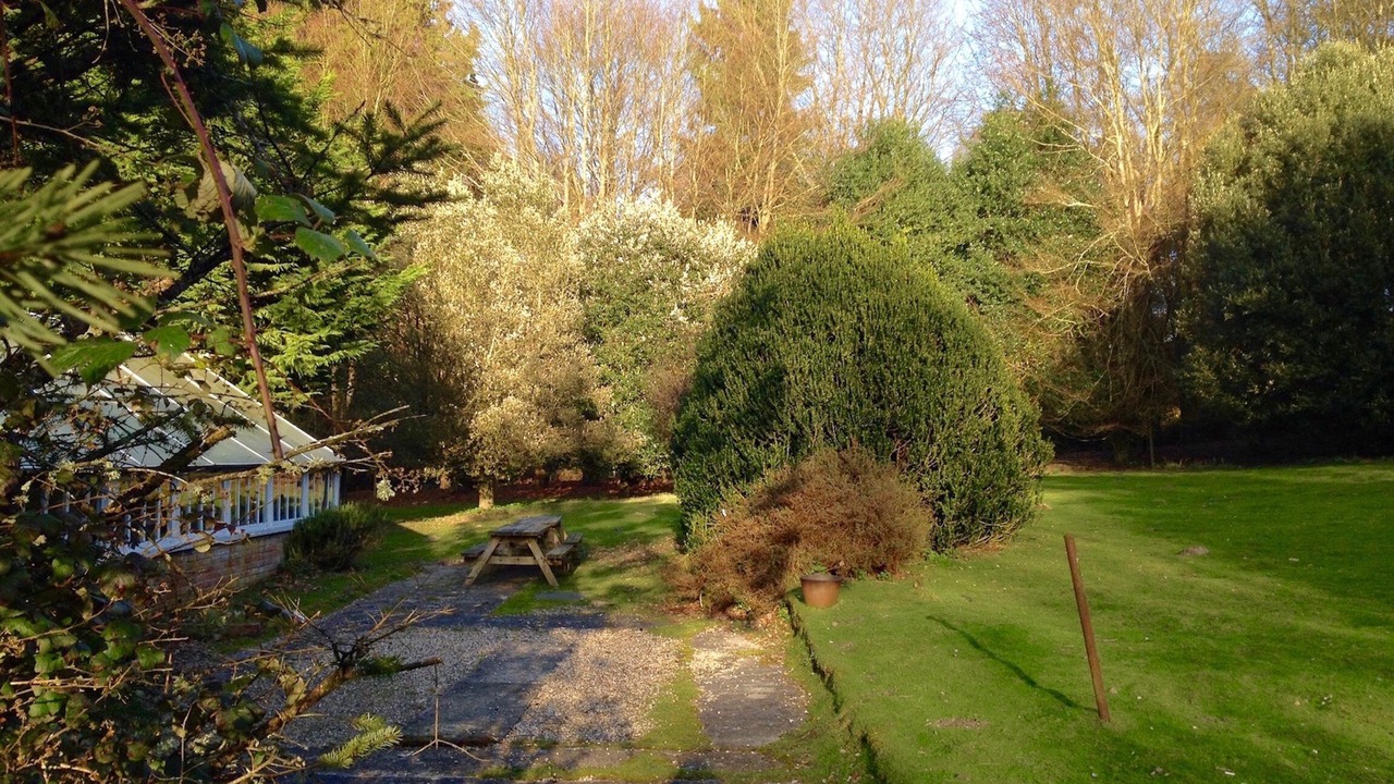 Photo of Outdoor in New Forest District