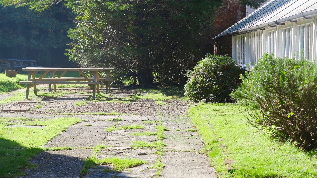 Photo of Outdoor in New Forest District