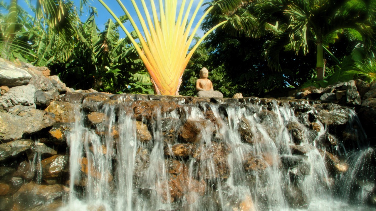 Photo of Outdoor in Wailea