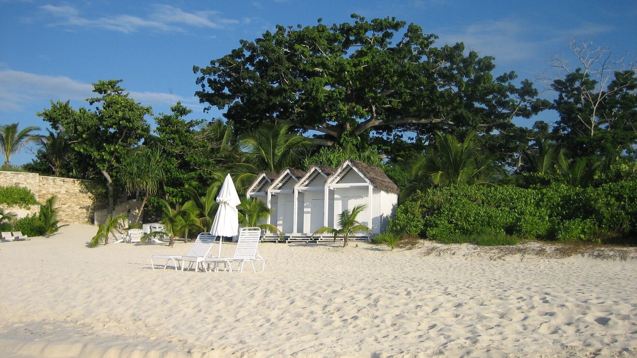 Photo of Others in Old Fort Bay