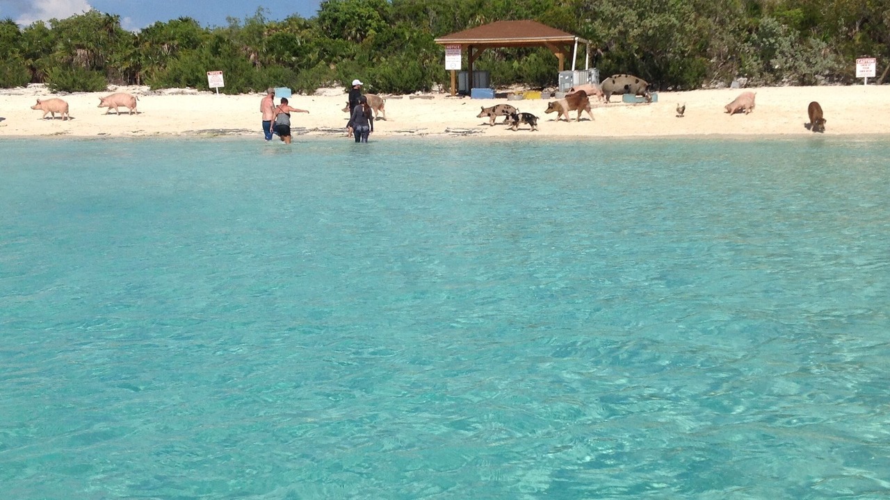 Photo of Others in Black Point