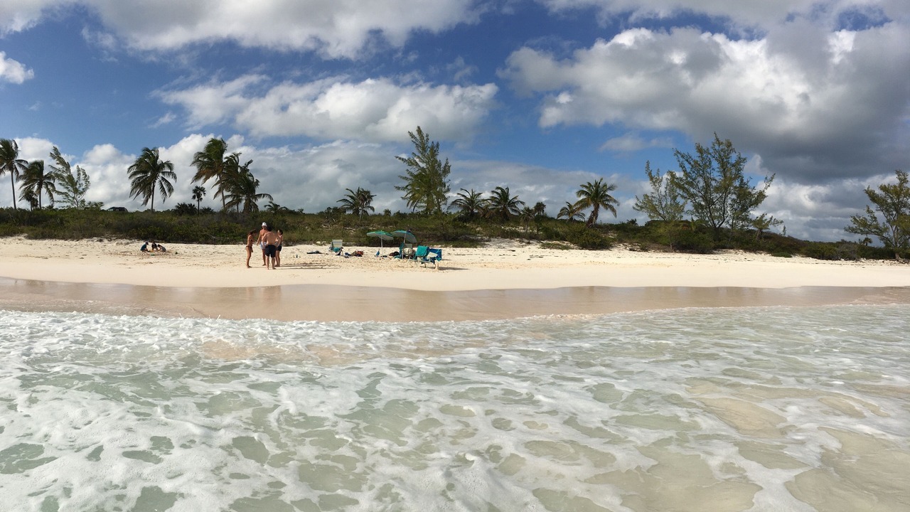 Photo of Others in Tarpum Bay