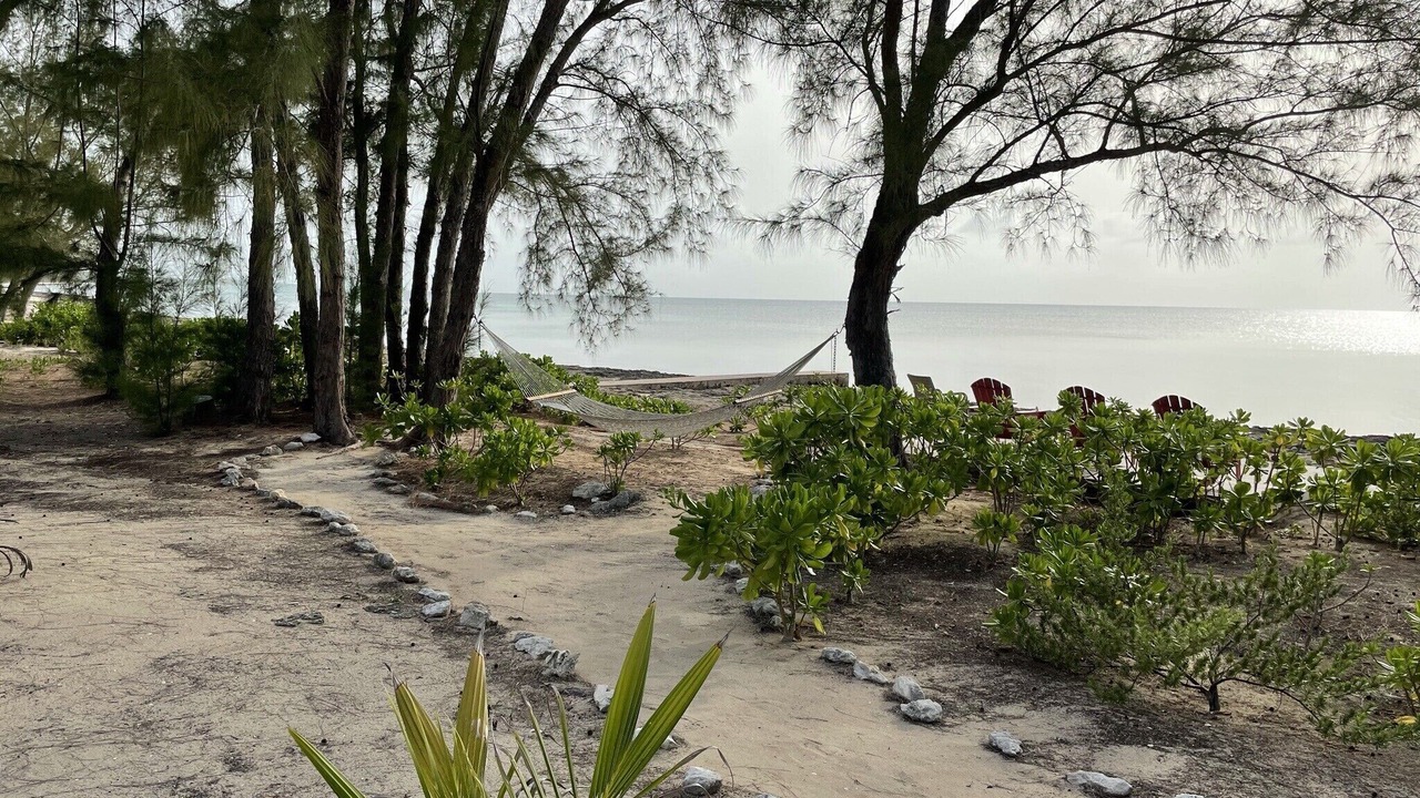 Photo of Others in Tarpum Bay
