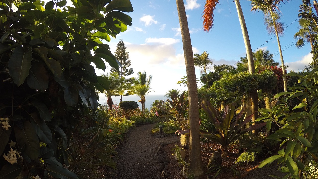 Photo of Outdoor in Kona Paradise