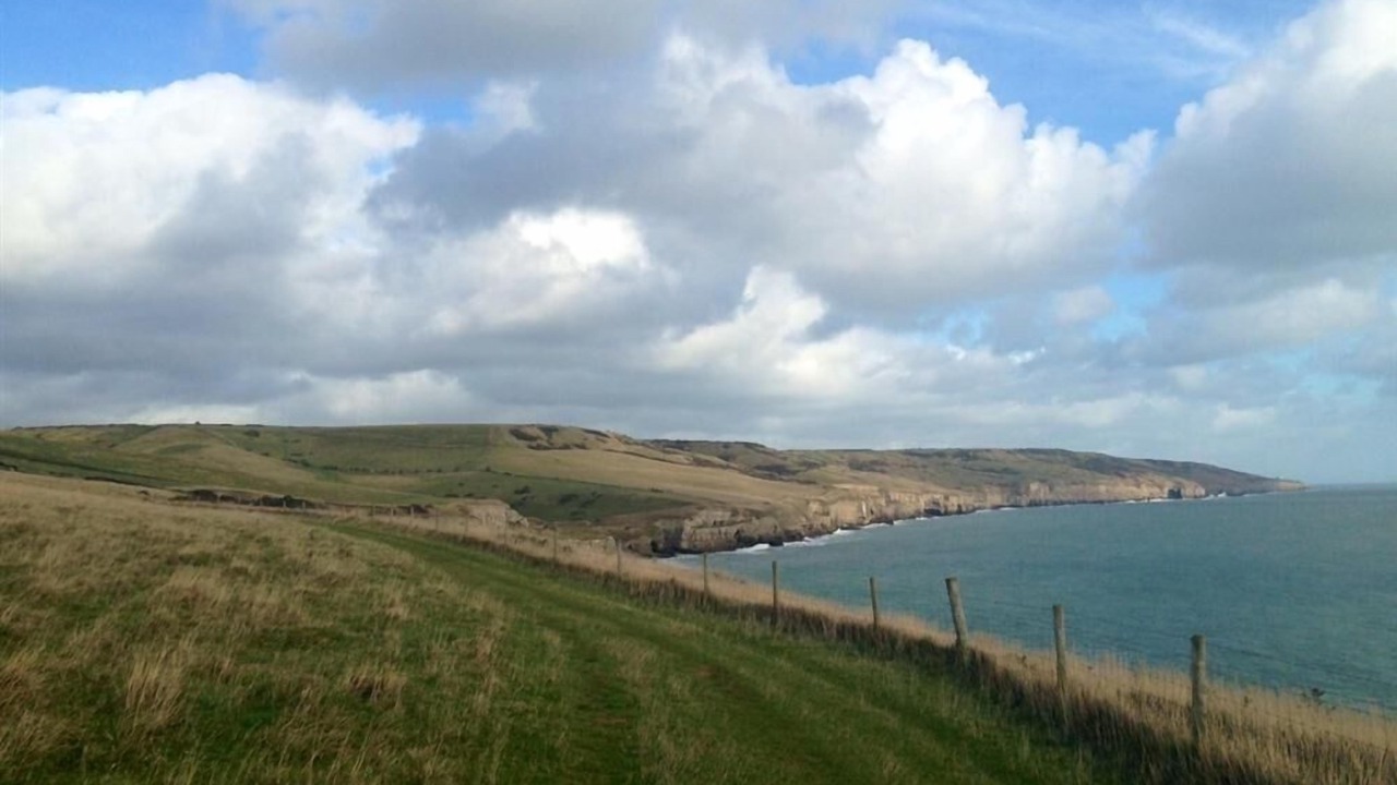 Photo of Others in Swanage