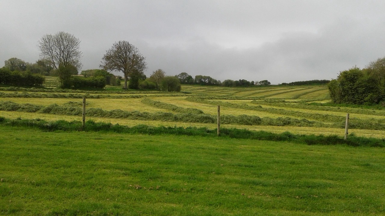 Photo of Others in East Knighton