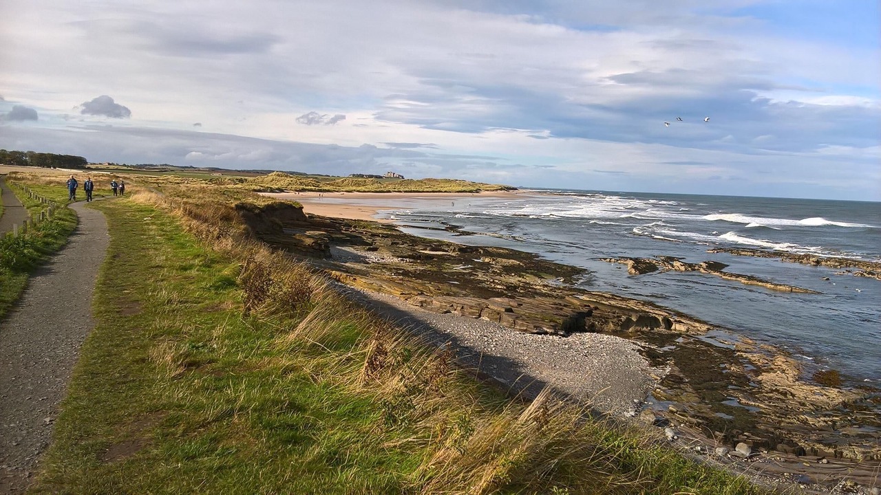 Photo of Others in Seahouses