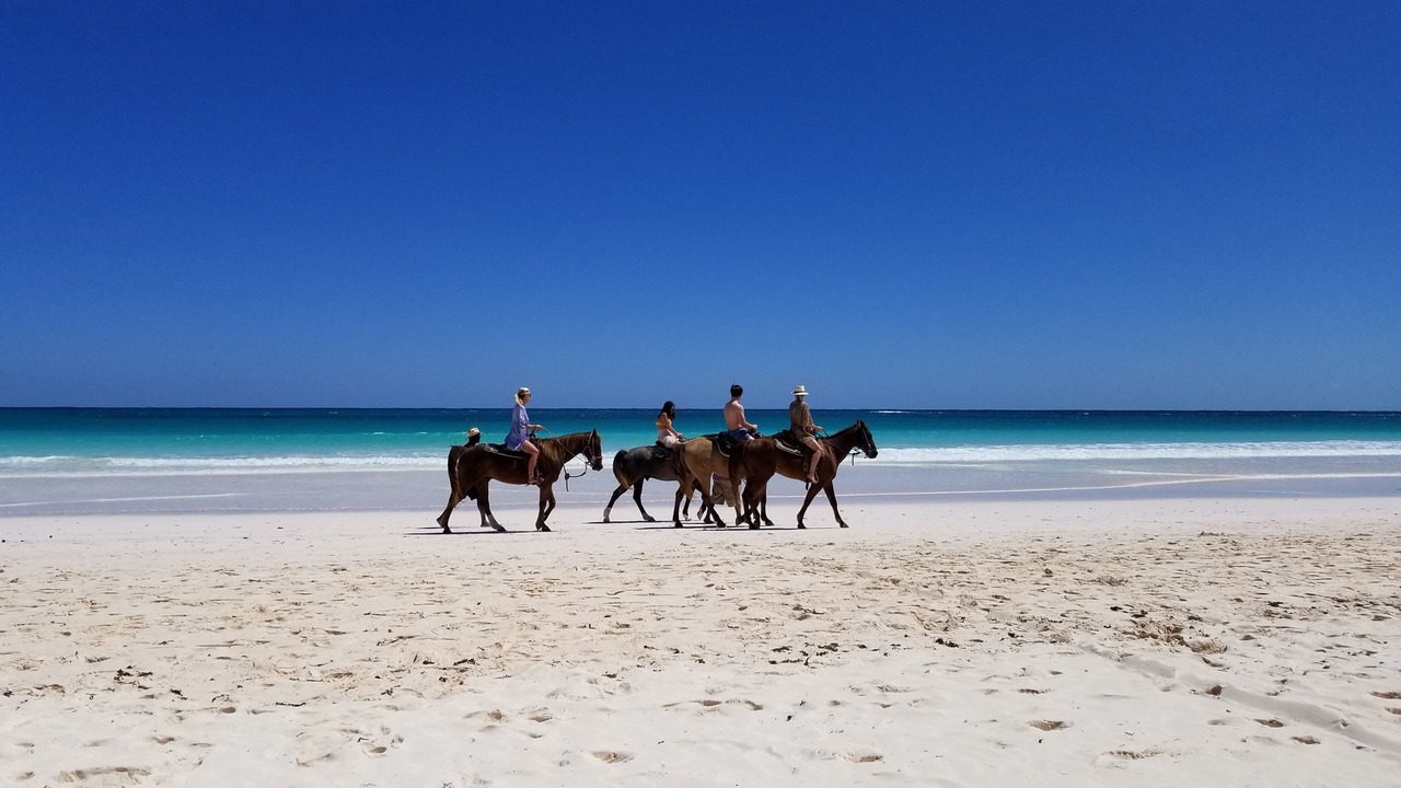 Photo of Others in Rainbow Bay
