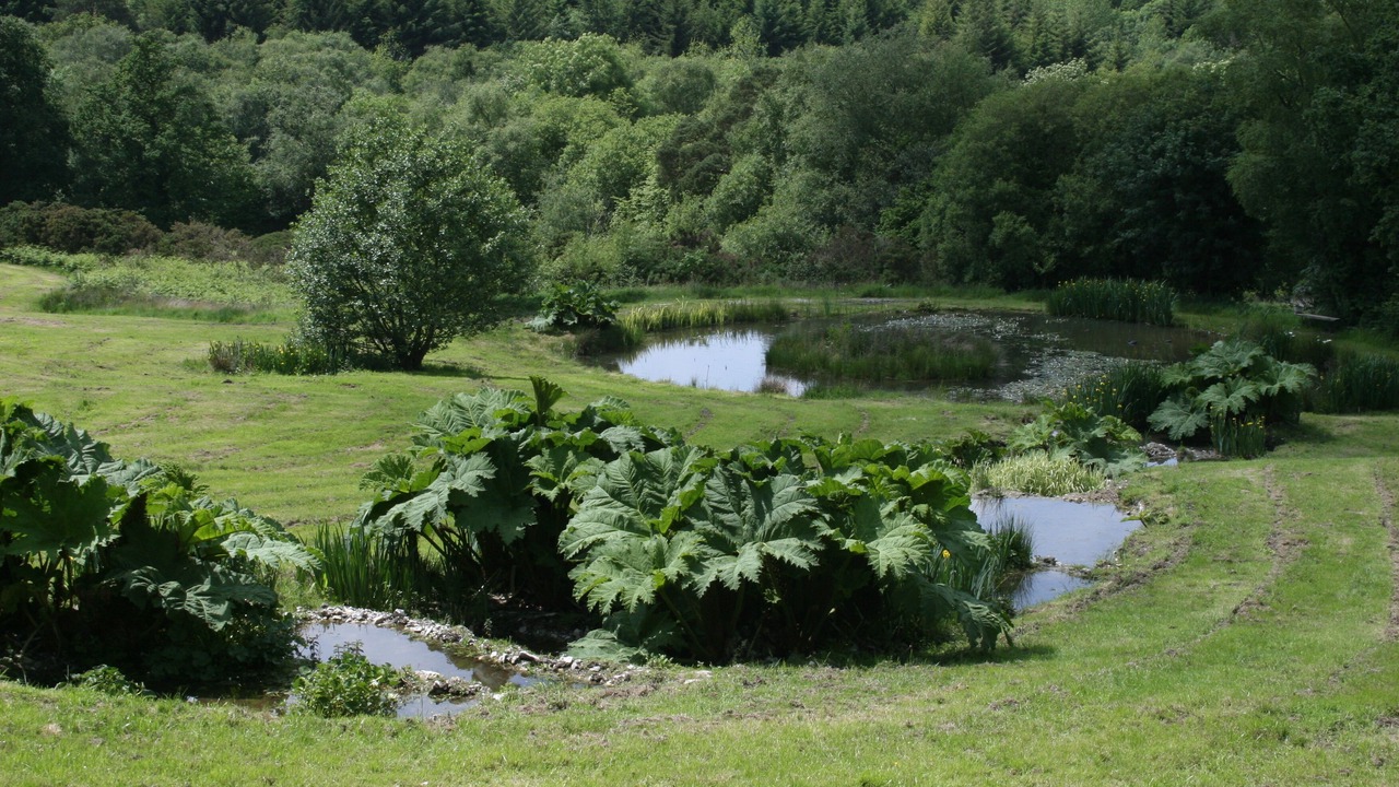 Photo of Outdoor in Axminster