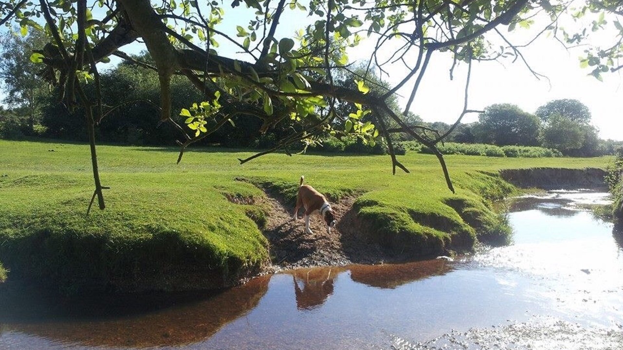 Photo of Others in Burley