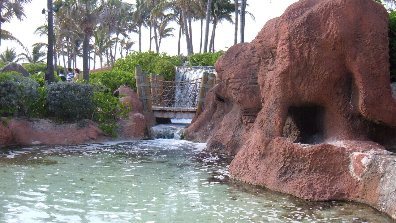 Photo of Others in Paradise Island