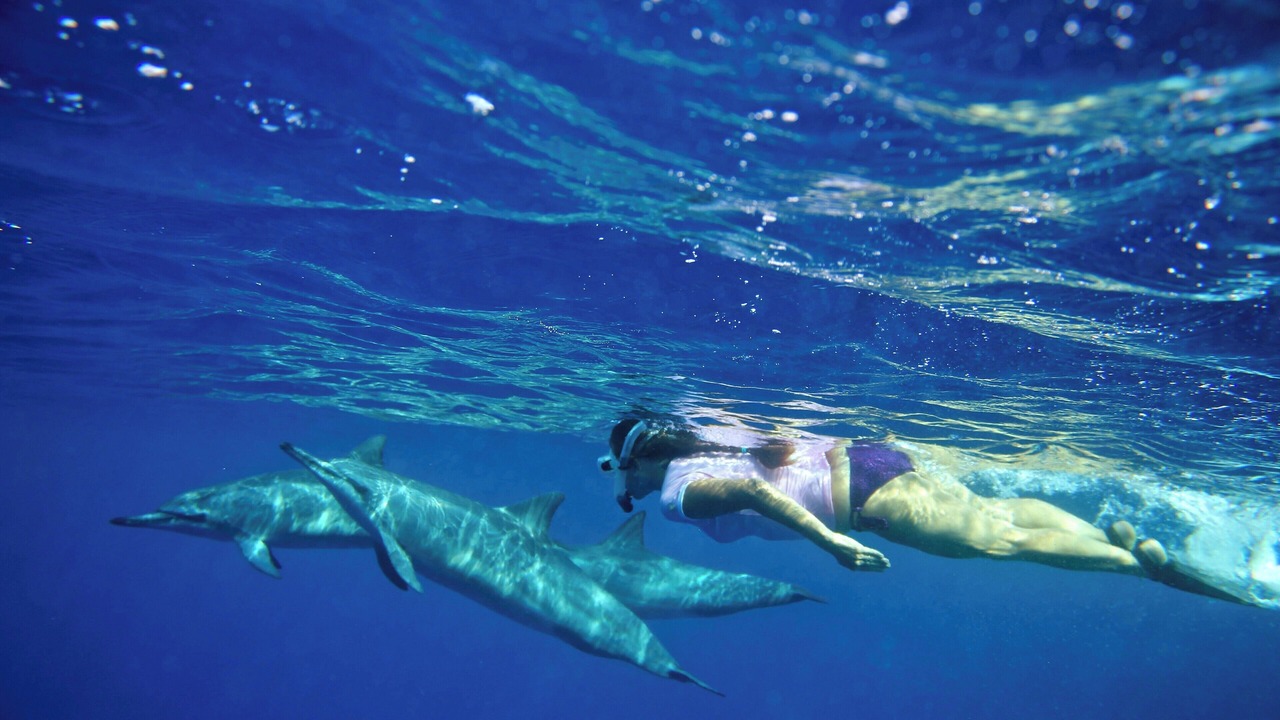 Photo of Others in Honaunau-Napoopoo