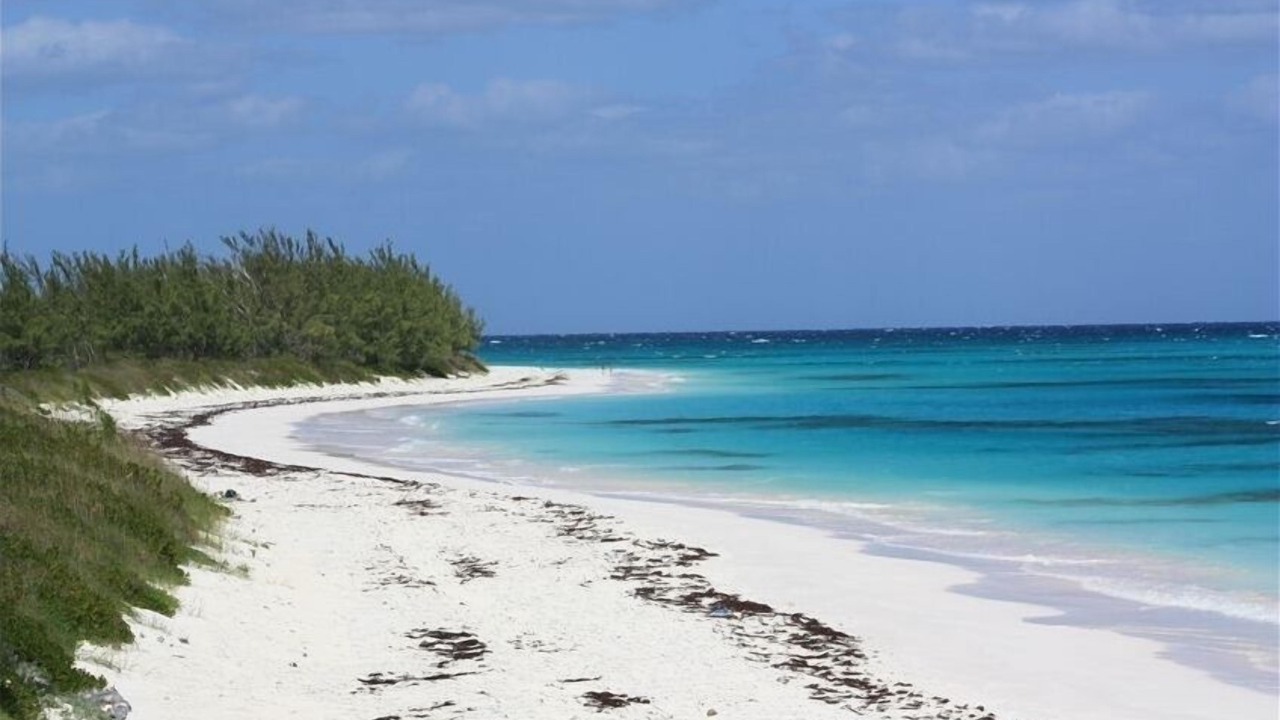 Photo of Others in Rainbow Bay