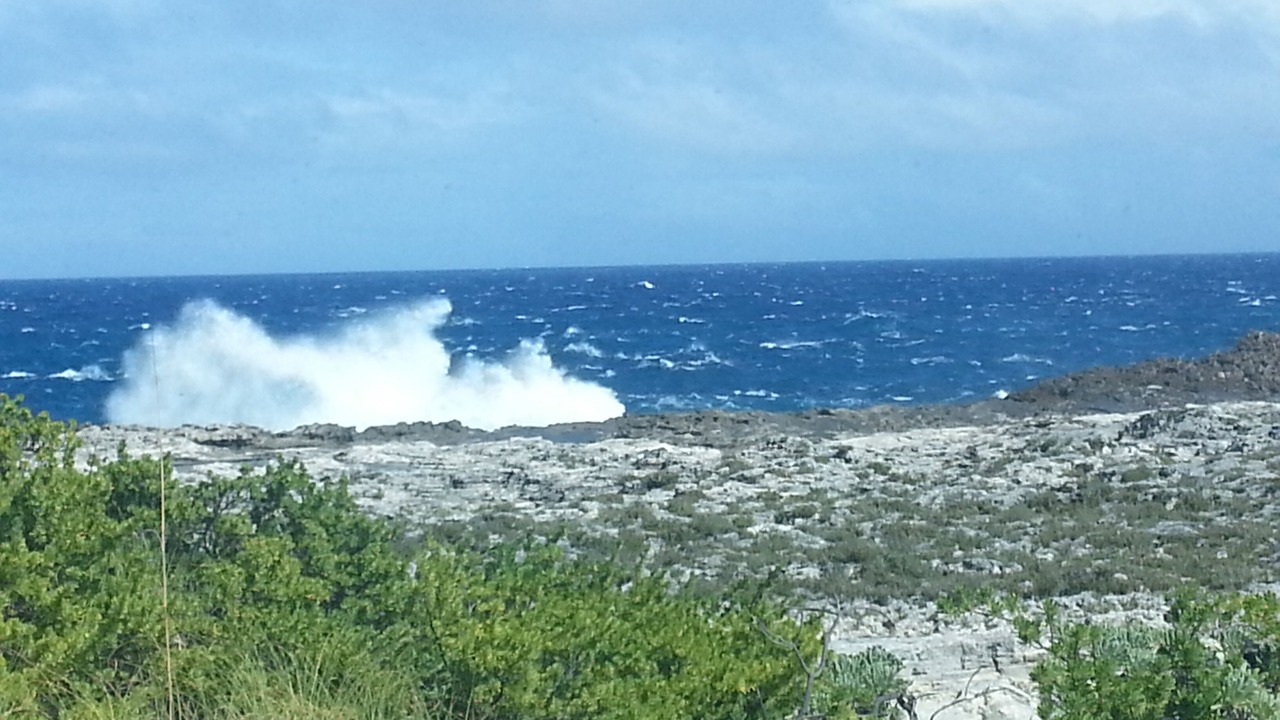 Photo of Others in Rainbow Bay