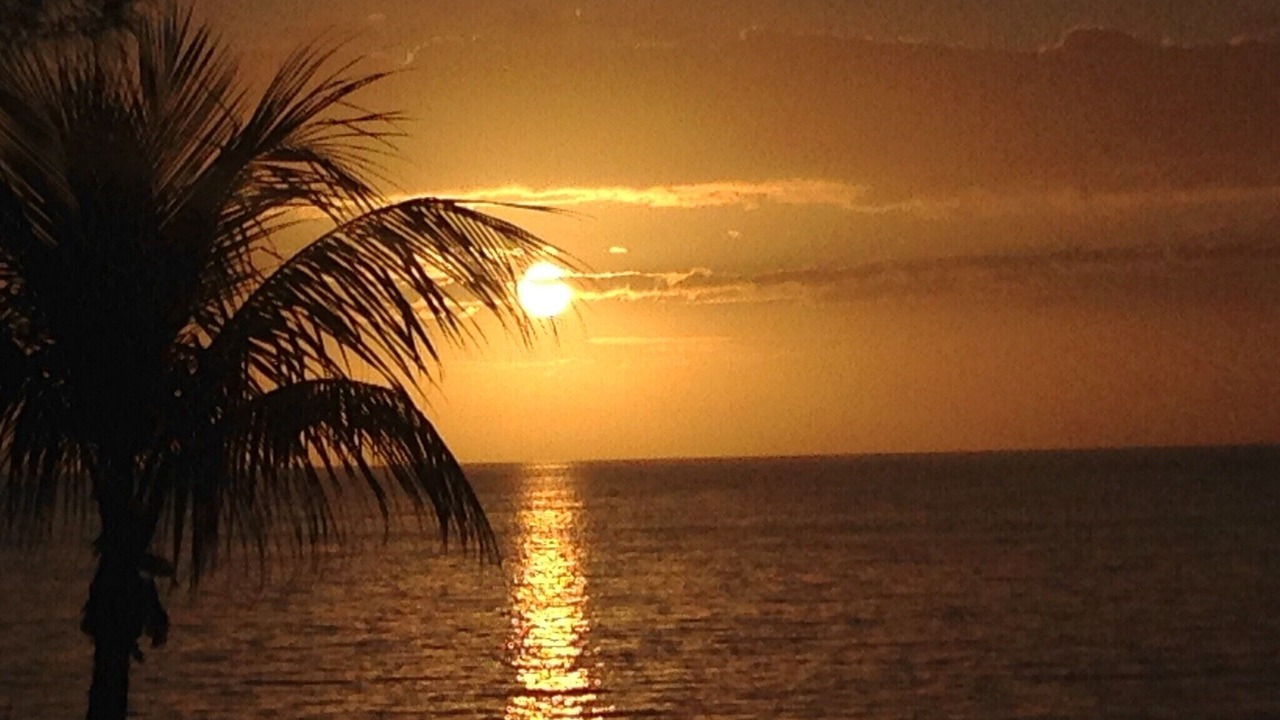 Photo of Others in Treasure Cay