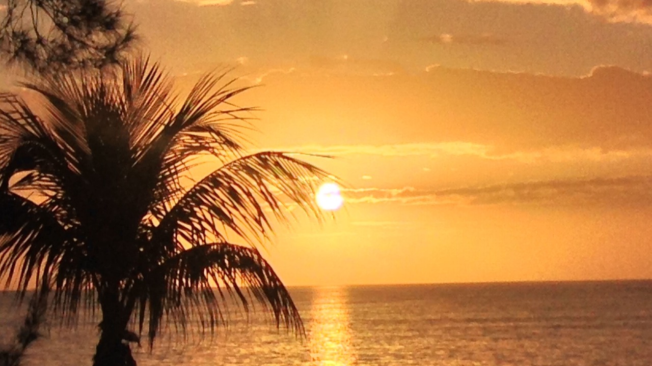 Photo of Others in Treasure Cay