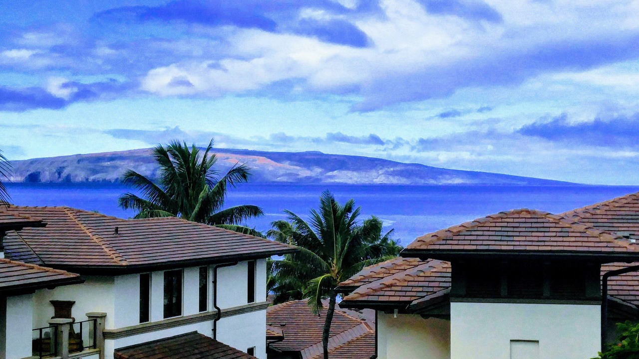 Photo of Others in Wailea