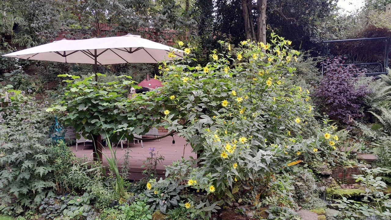 Photo of Outdoor in Grasby