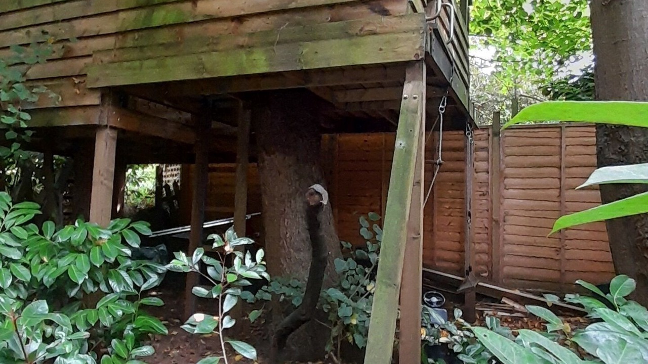 Photo of Outdoor in Grasby