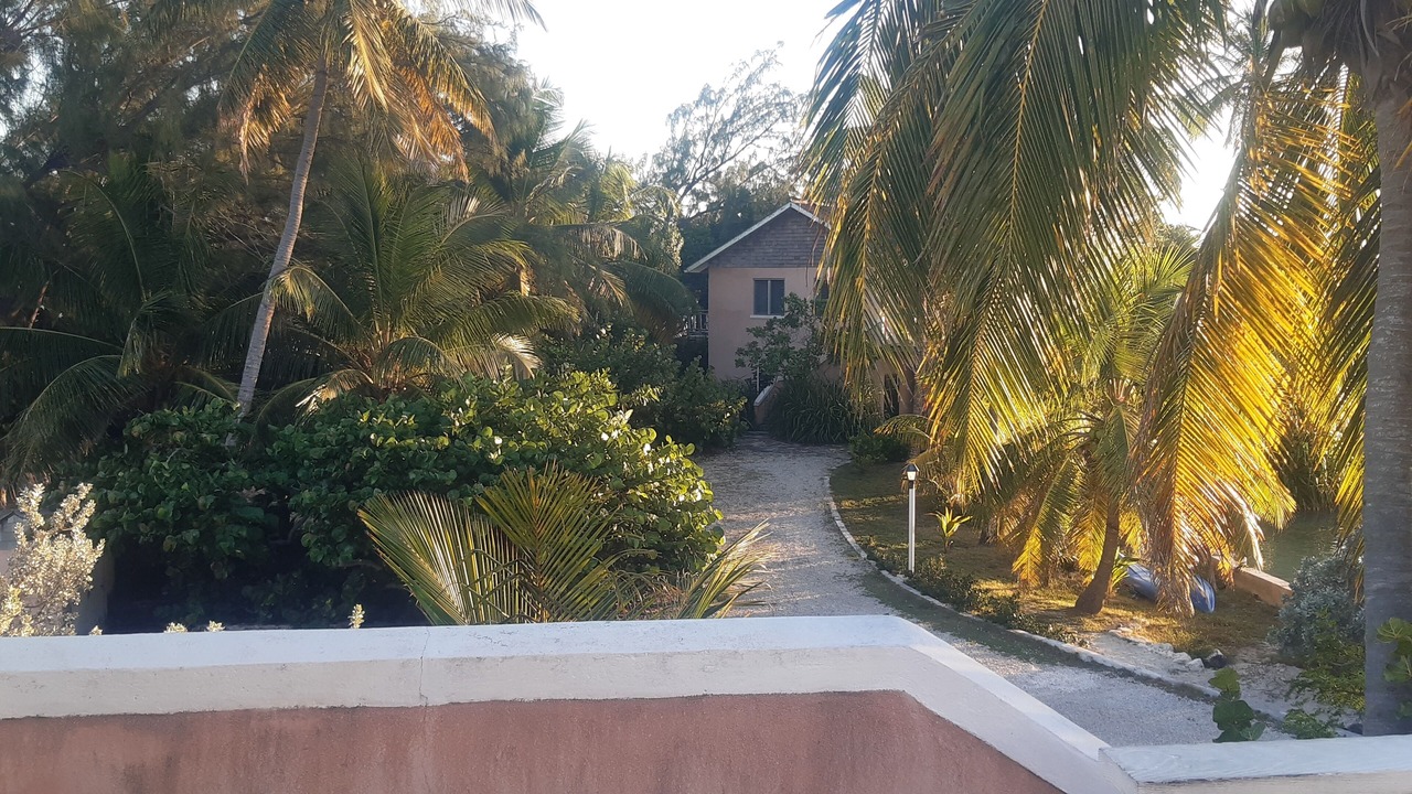 Photo of Outdoor in George Town