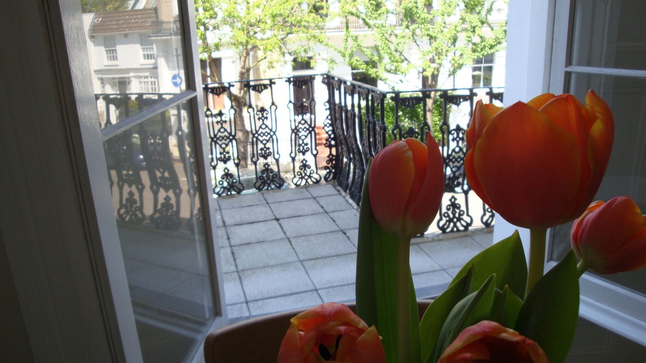 Photo of Others in South Kensington