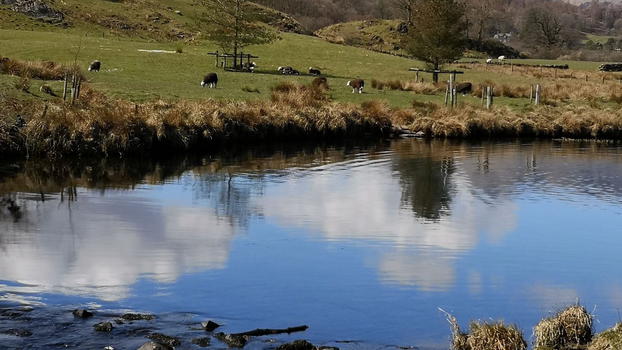Photo of Others in Skelwith Bridge