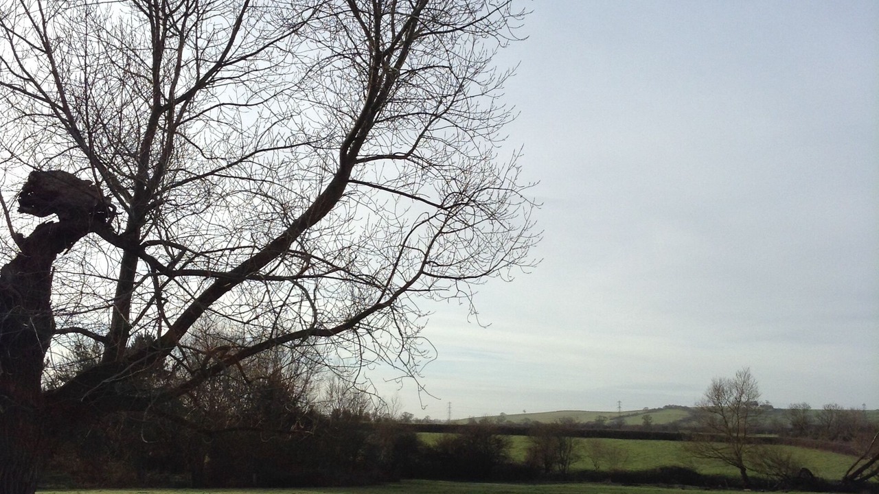 Photo of Outdoor in North Marston