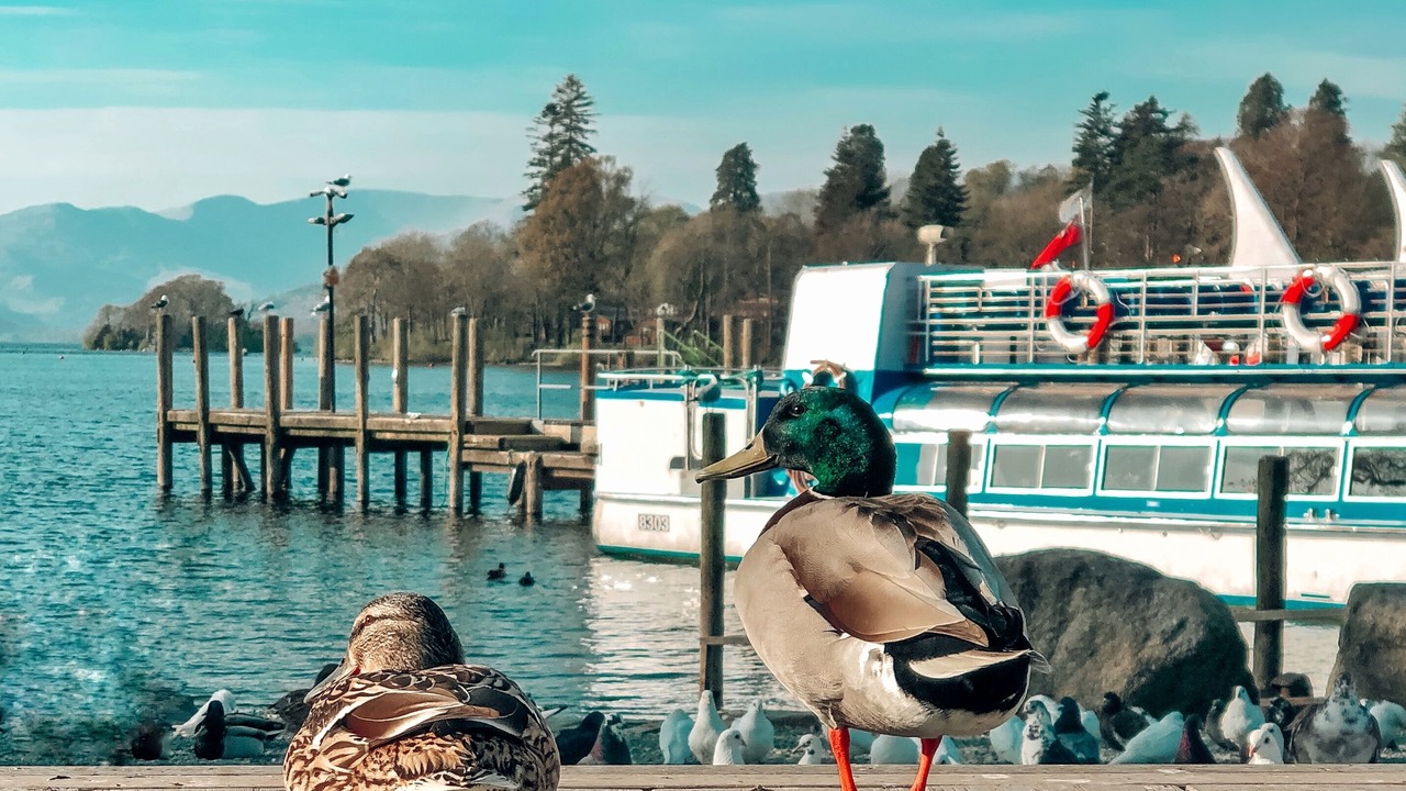 Photo of Others in Bowness-on-Windermere