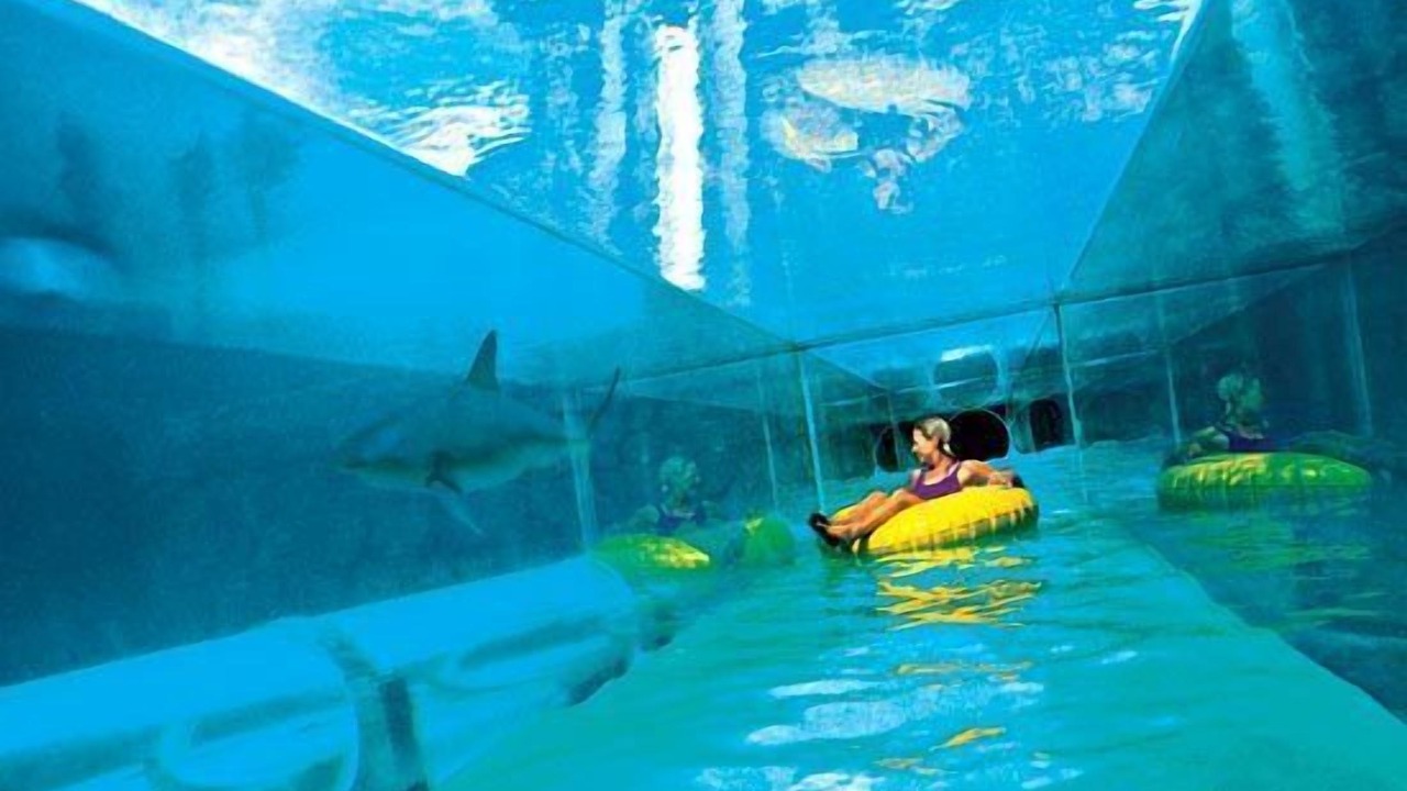 Photo of Others in Paradise Island