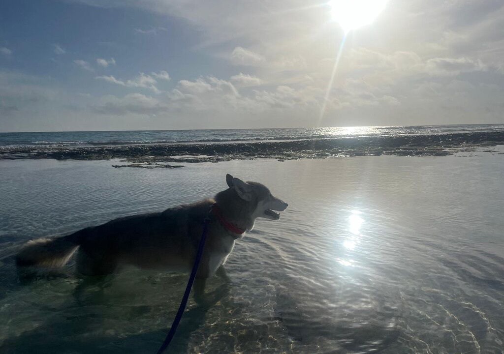 Photo of Others in Great Guana Cay