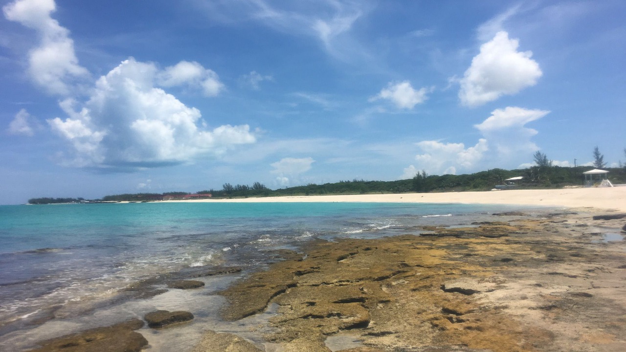 Photo of Others in Port Royal