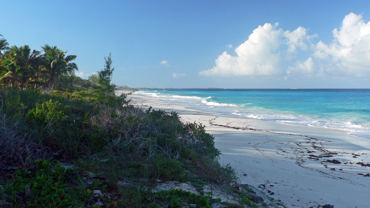 Photo of Others in Hartswell
