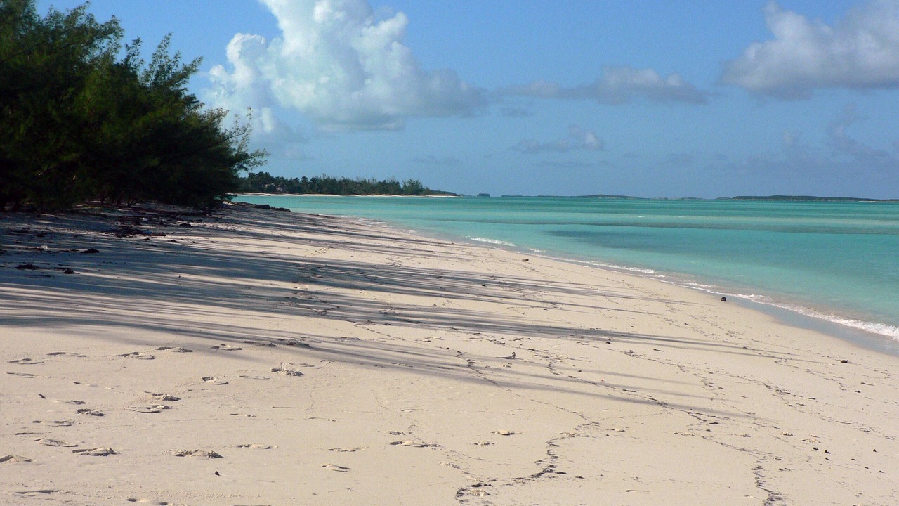 Photo of Others in Hartswell