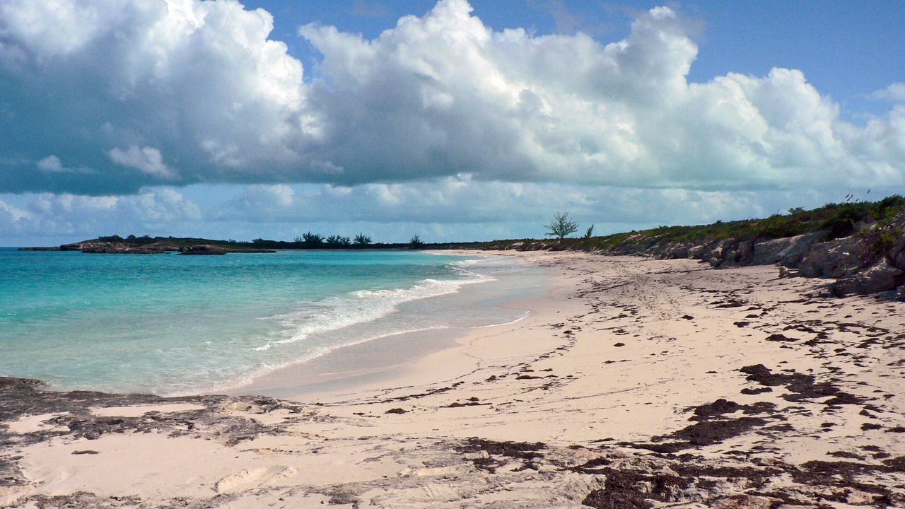 Photo of Others in Hartswell