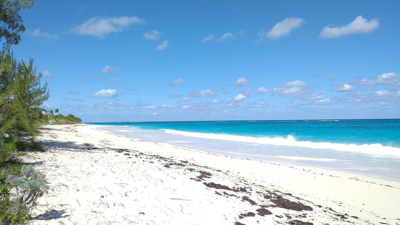 Photo of Others in Governor's Harbour