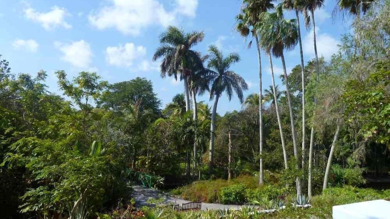 Photo of Outdoor in Freeport