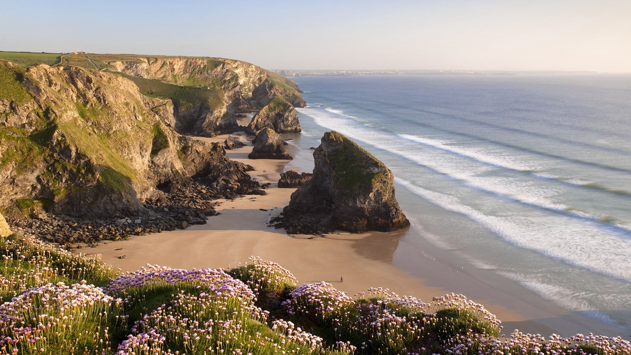 Photo of Others in Bude