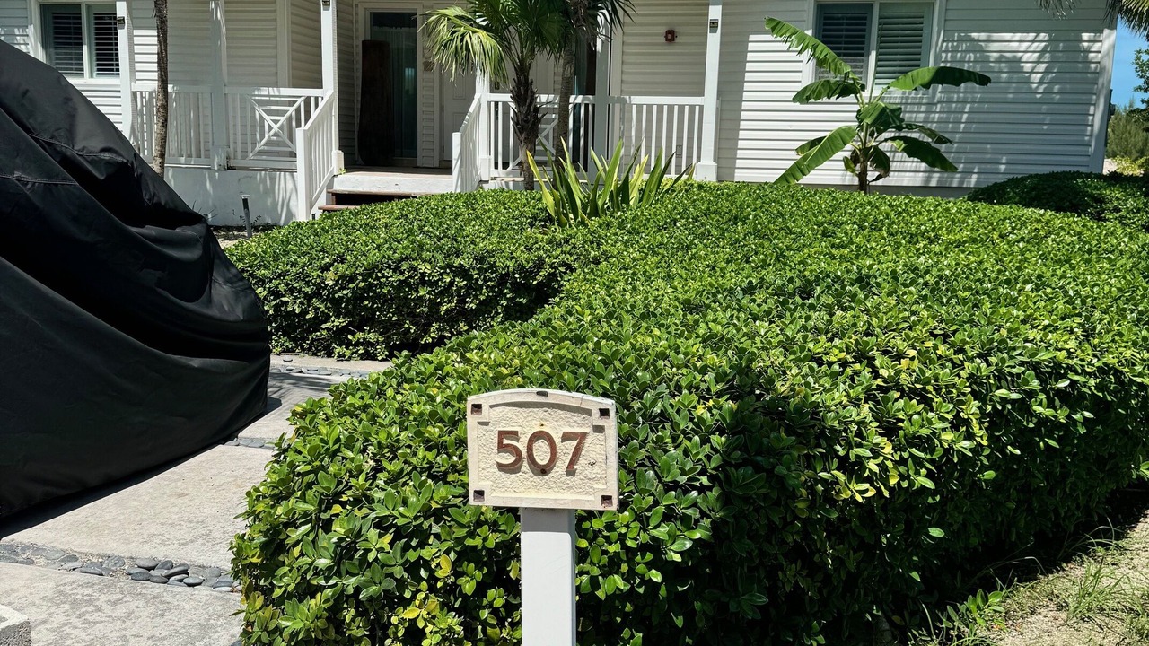 Photo of Outdoor in Alice Town