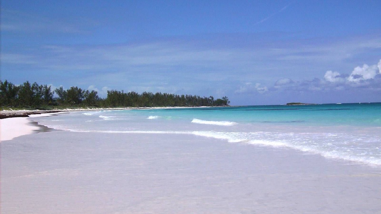Photo of Others in Rainbow Bay