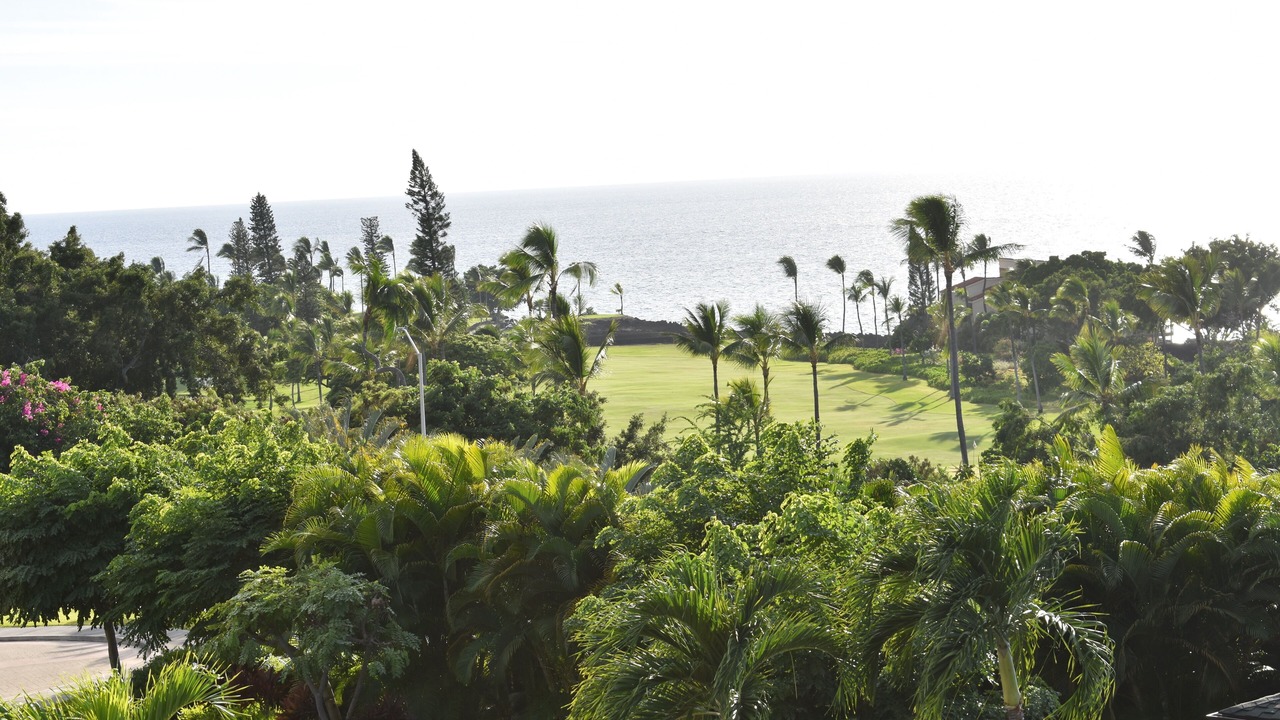 Photo of Others in Kahaluu Bay
