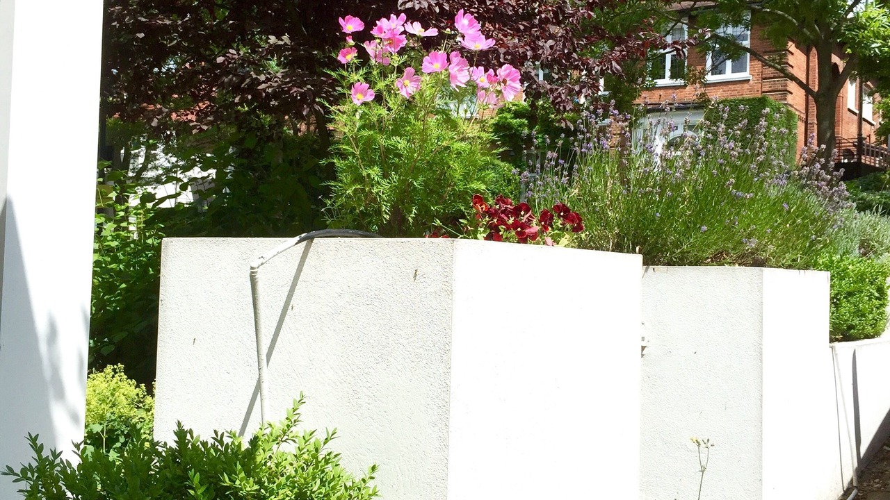 Photo of Outdoor in Frognal and Fitzjohns