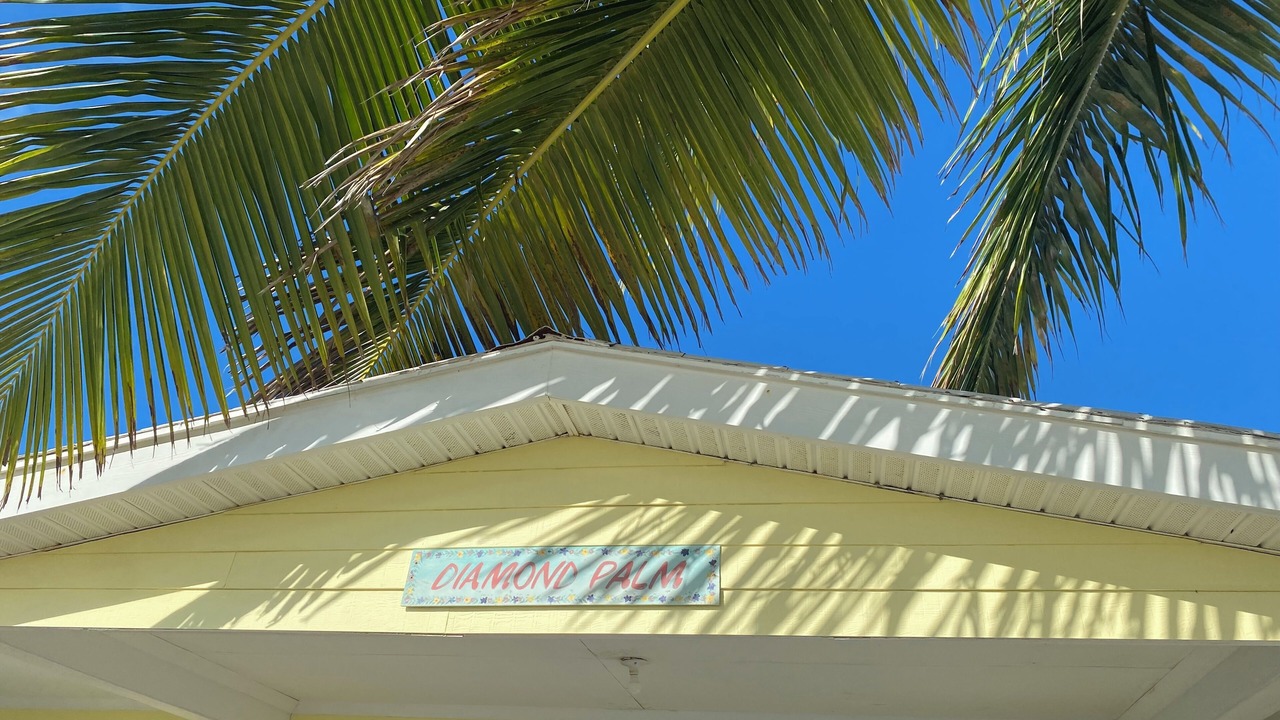 Photo of Outdoor in George Town