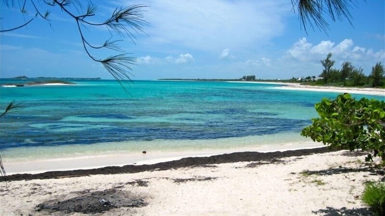 Photo of Others in Green Turtle Cay