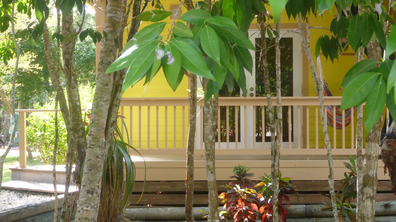 Photo of Others in Lubbers Quarters Cay