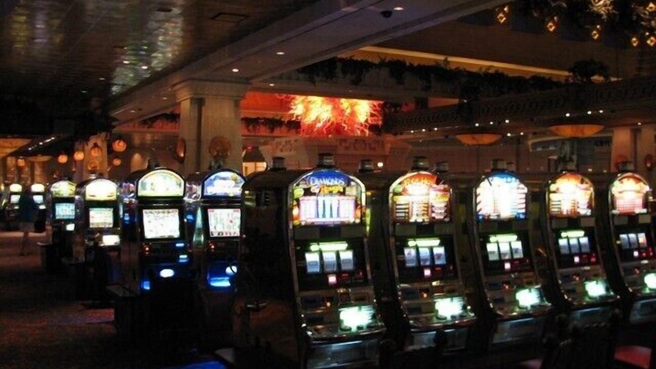 Photo of Others in Paradise Island