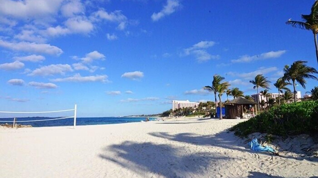 Photo of Others in Paradise Island