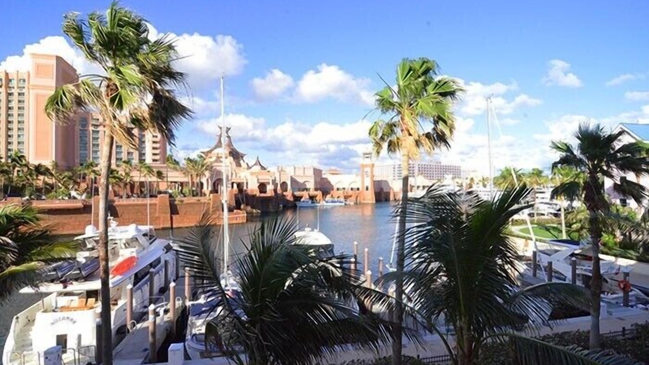 Photo of Others in Paradise Island